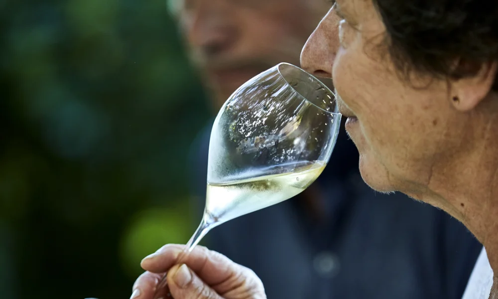 Champagne Jean-Marie Massonnot à Coulomme-la-Montagne