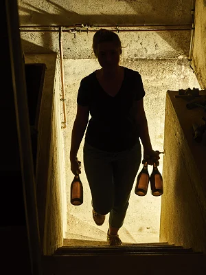 Vigneron Indépendant Champagne Jean-Marie Massonnot à Coulomme-la-Montagne