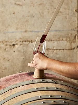 Vigneron Indépendant Champagne Jean-Marie Massonnot à Coulomme-la-Montagne