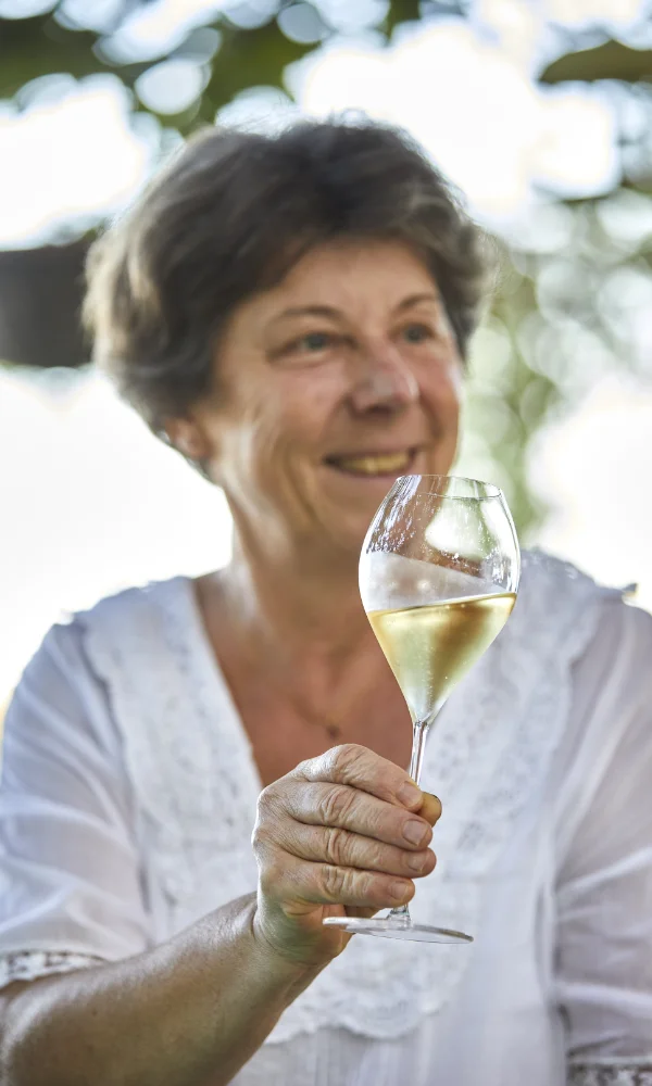 Champagne Jean-Marie Massonnot à Coulomme-la-Montagne